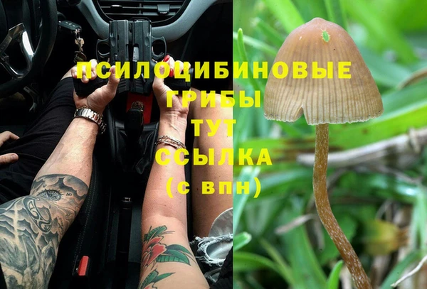 mdma Краснослободск