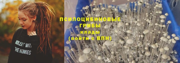 мескалин Алексин